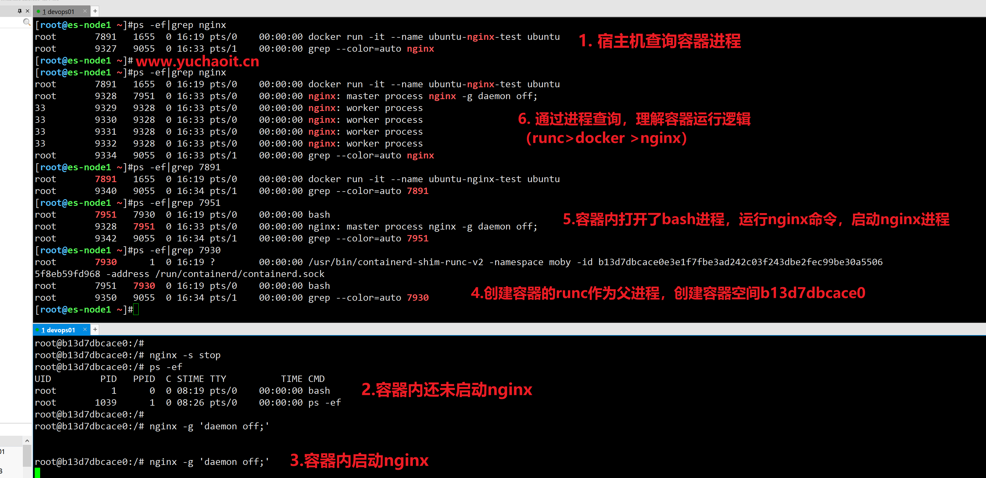 image-20230301163829105