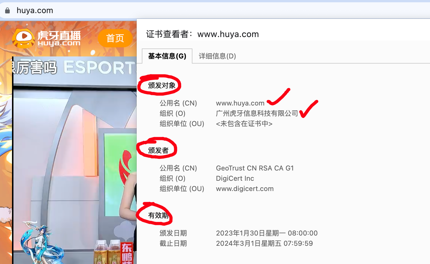 image-20230406143909478