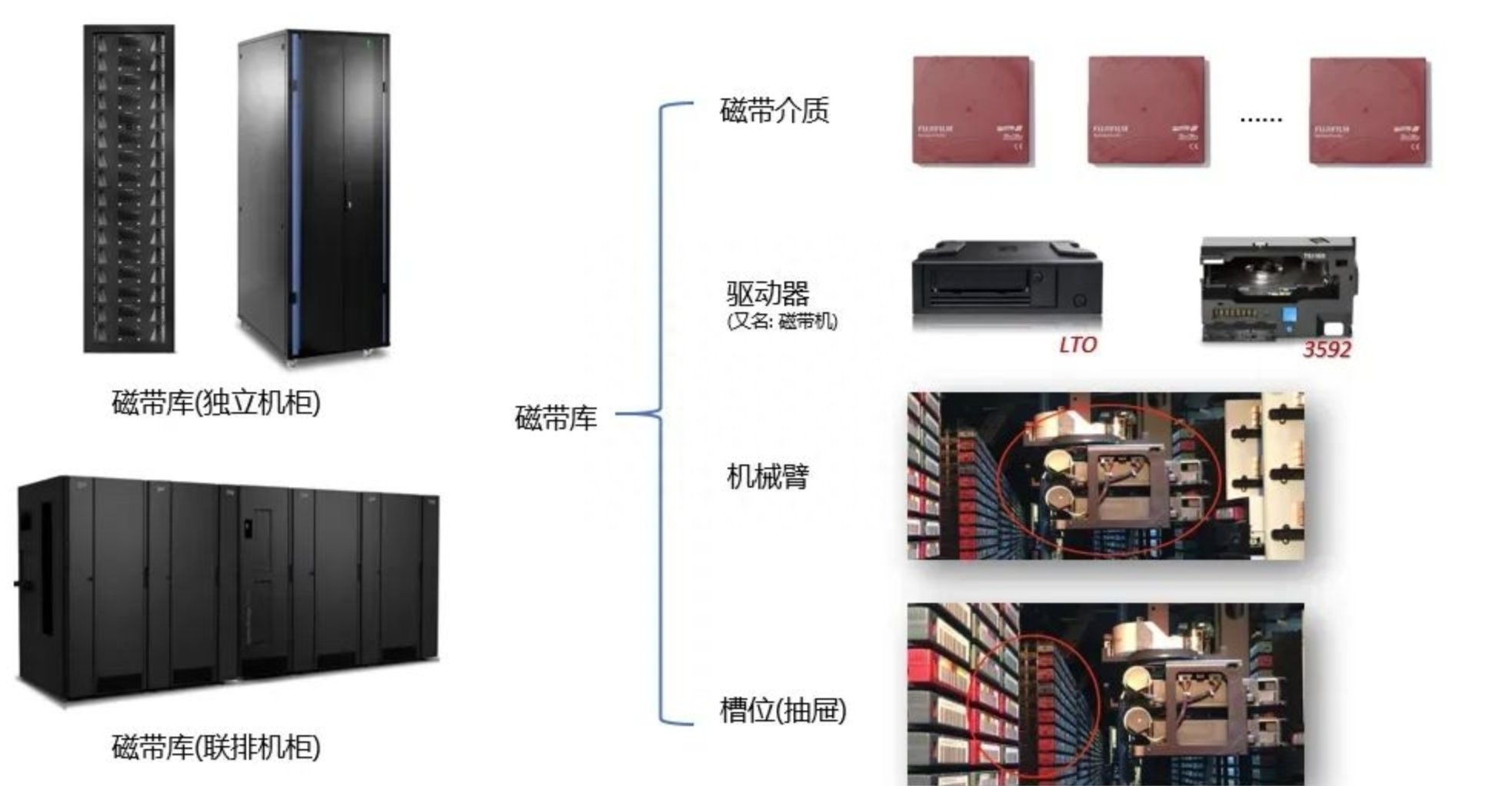 image-20250306113716483