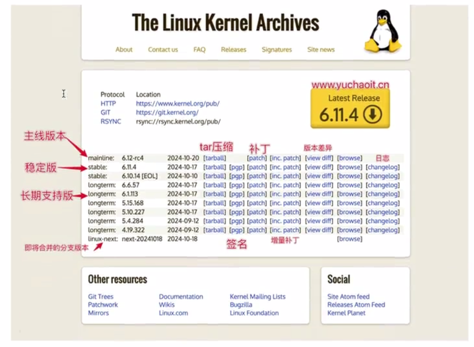 image-20250306120509796