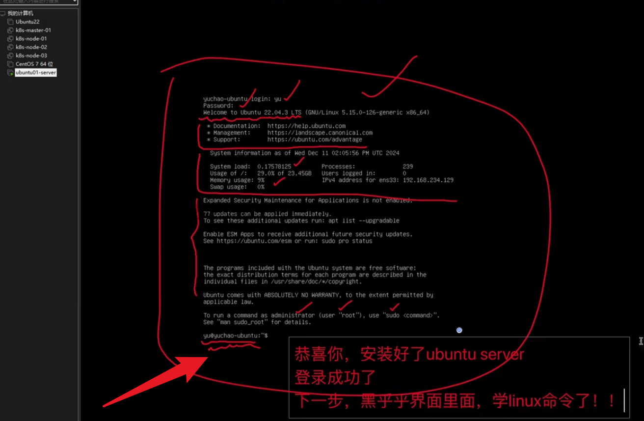 image-20250306155933735