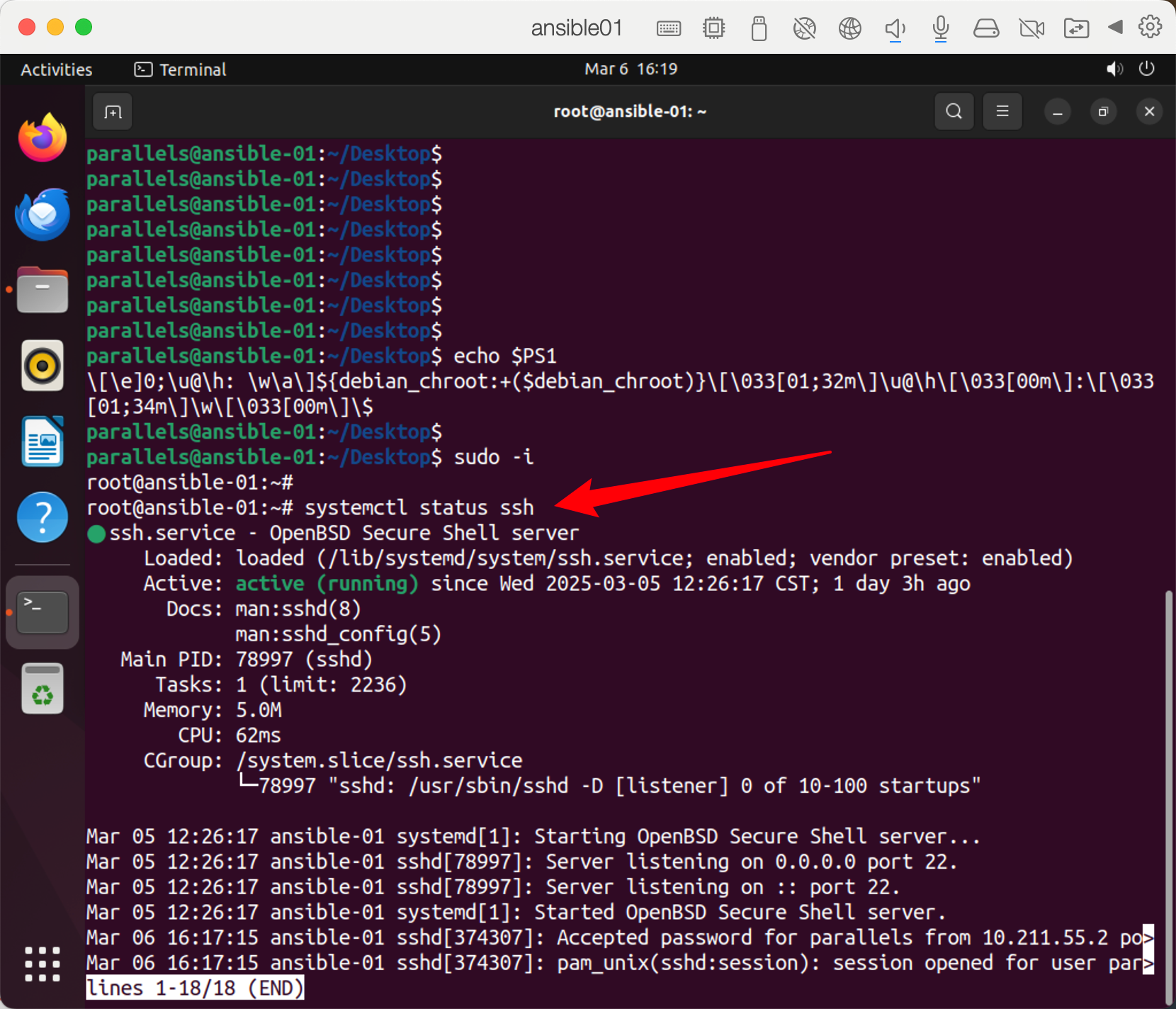 image-20250306162003455