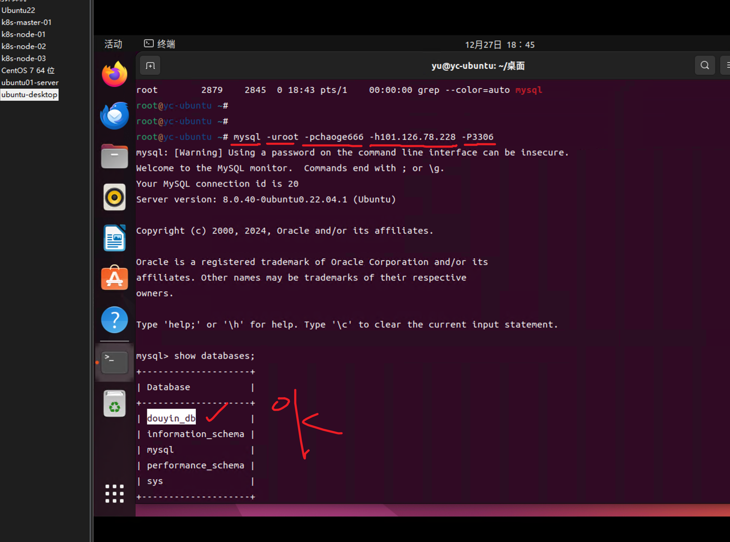 image-20241227184523252