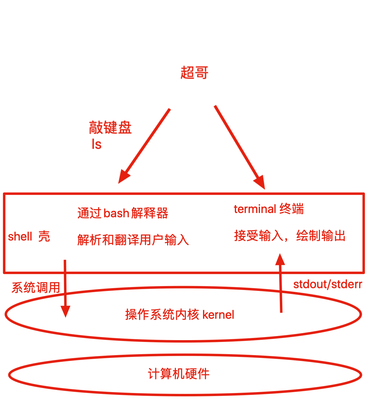 image-20191123181307432