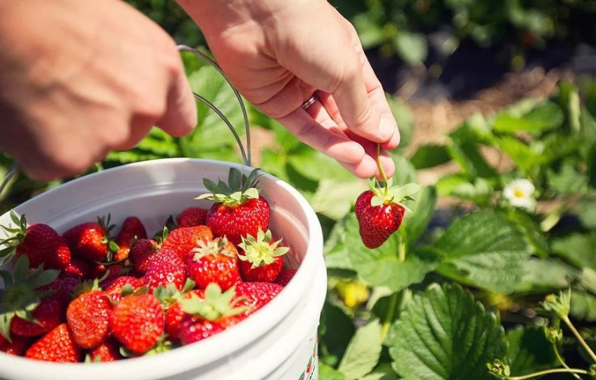 image-20191204140118008