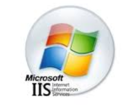 image-20200210110031186