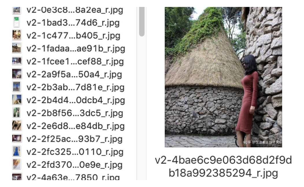 image-20210416090617996