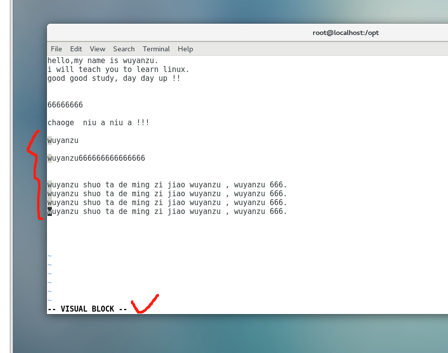 image-20220106184300876