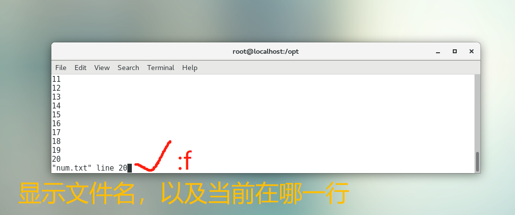 image-20220107100210644