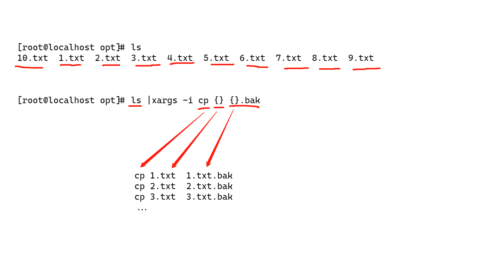 image-20220108170211488