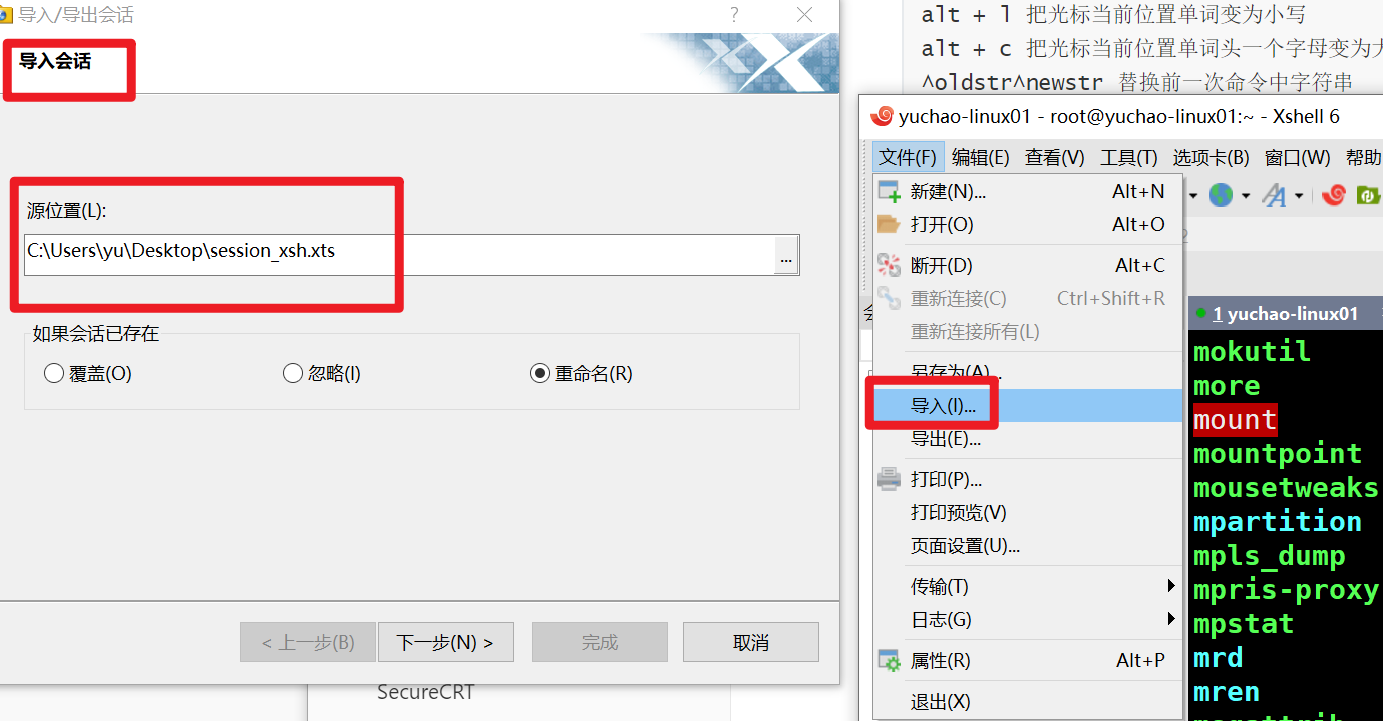 image-20220108211146150