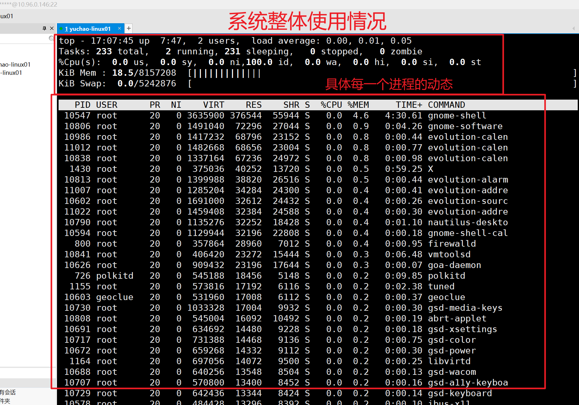 image-20220117170907157