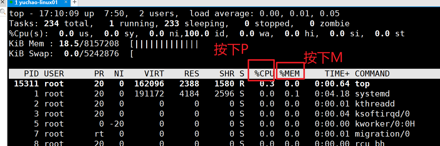 image-20220117171042103