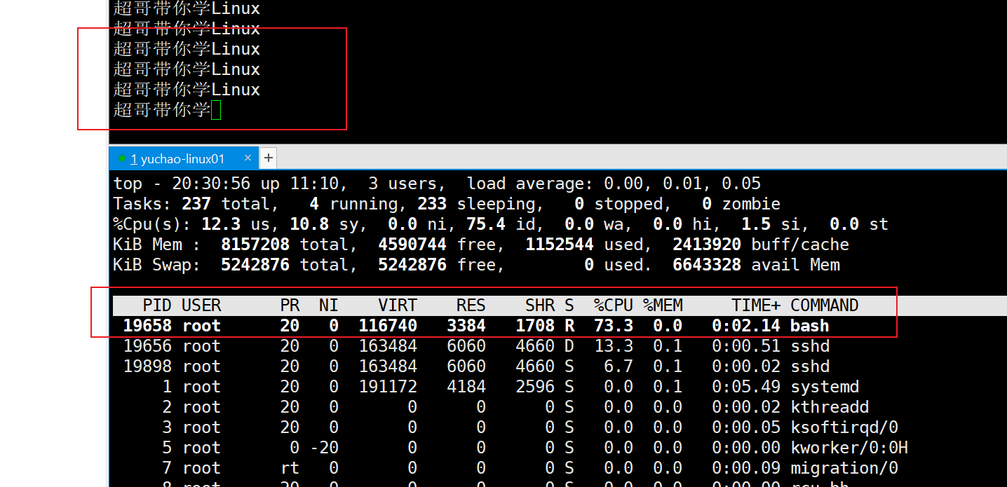 image-20220117203111115