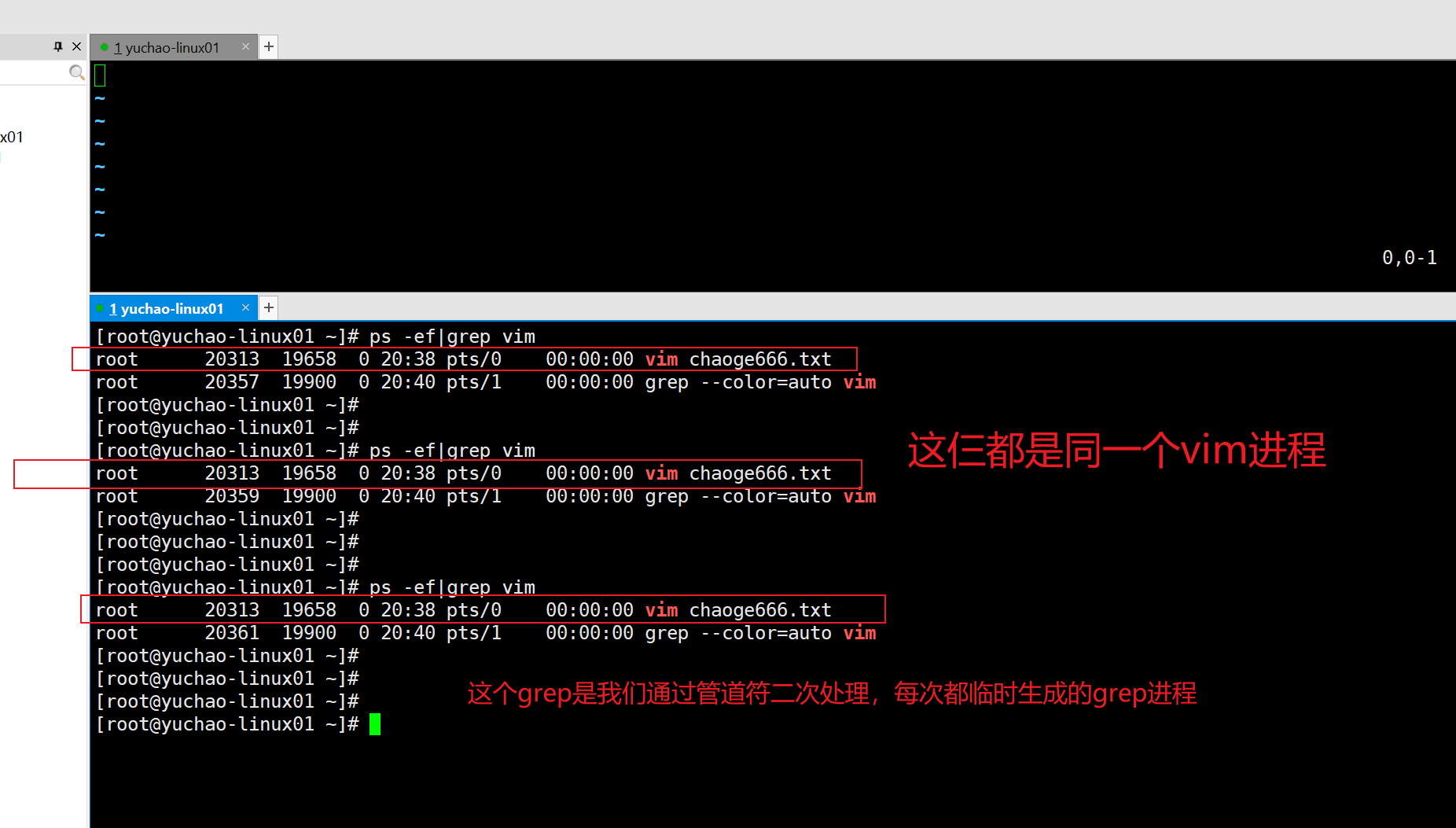 image-20220117204058530