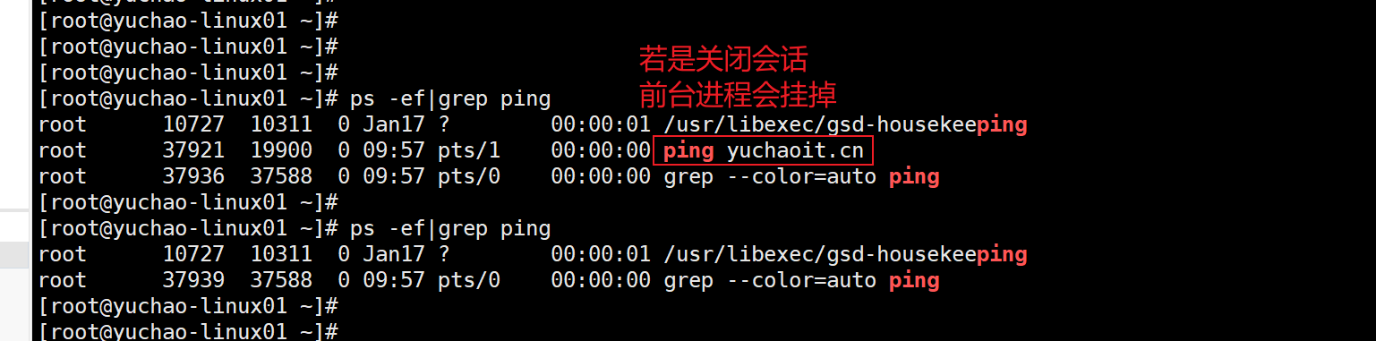 image-20220118095822343