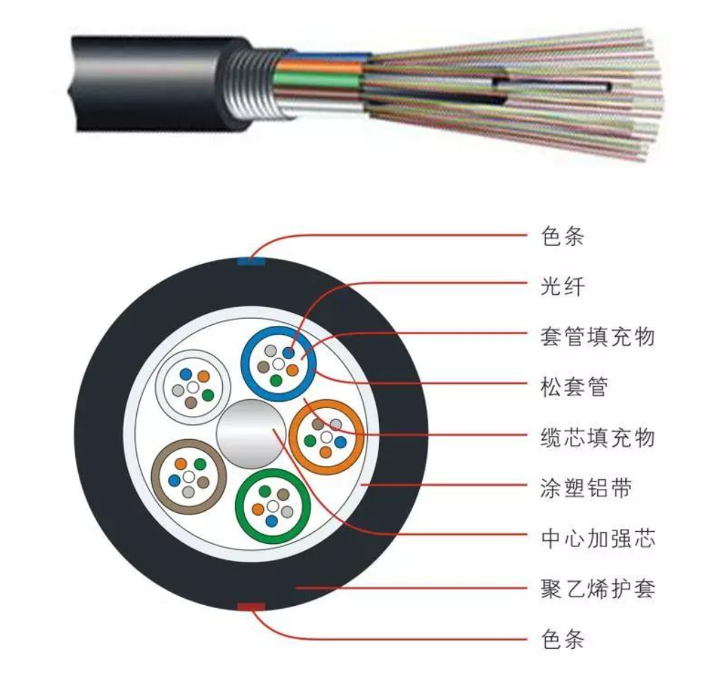 image-20220119194241290