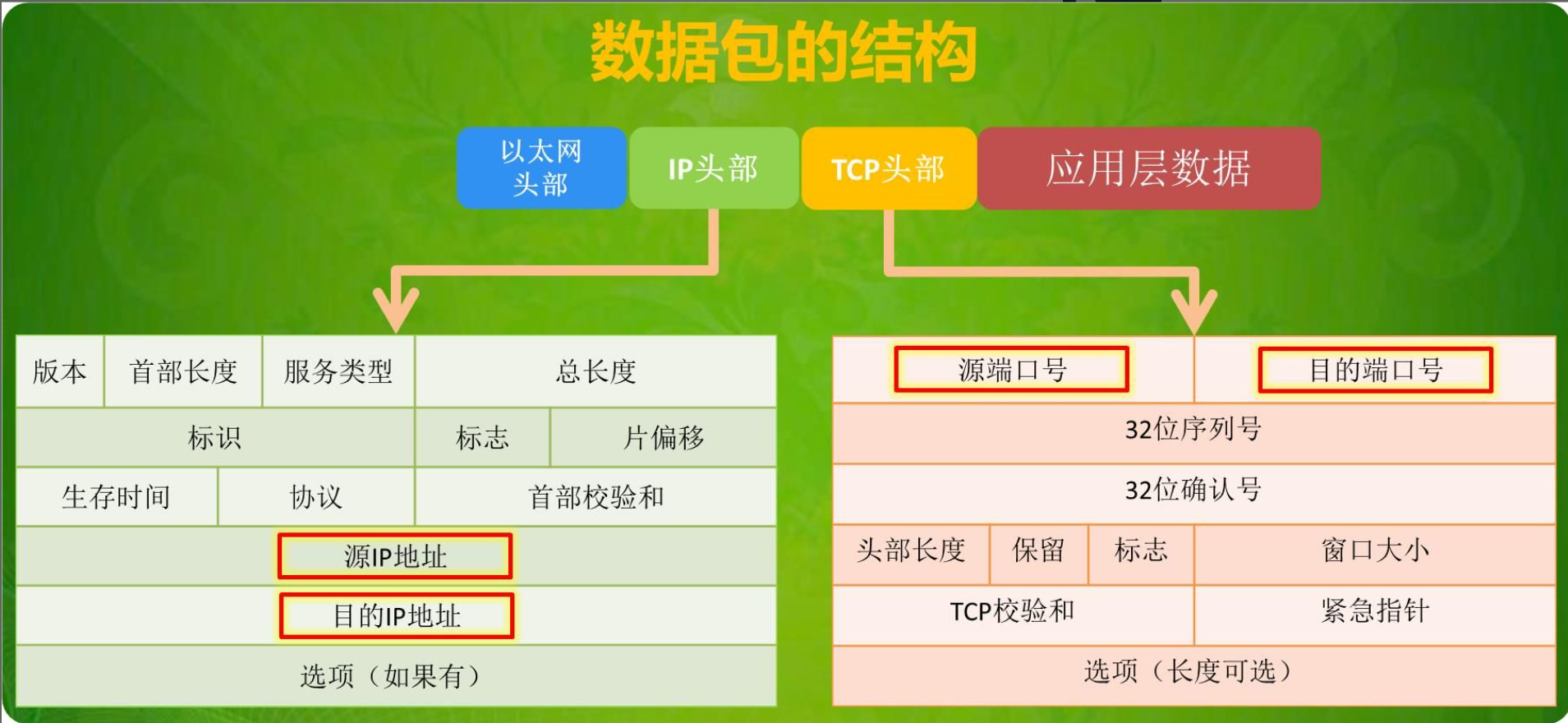 image-20220122165907449