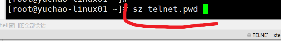 image-20220126110651924