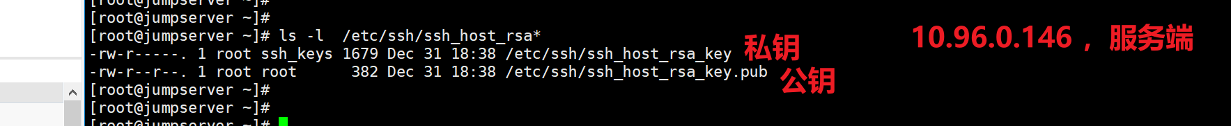 image-20220211144617838