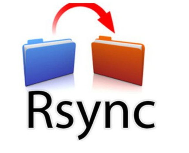 image-20220211192614410