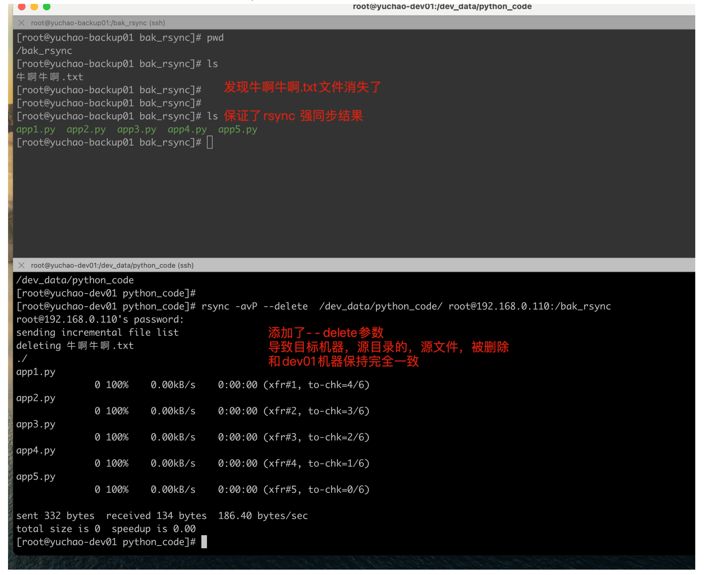 image-20220215181749145