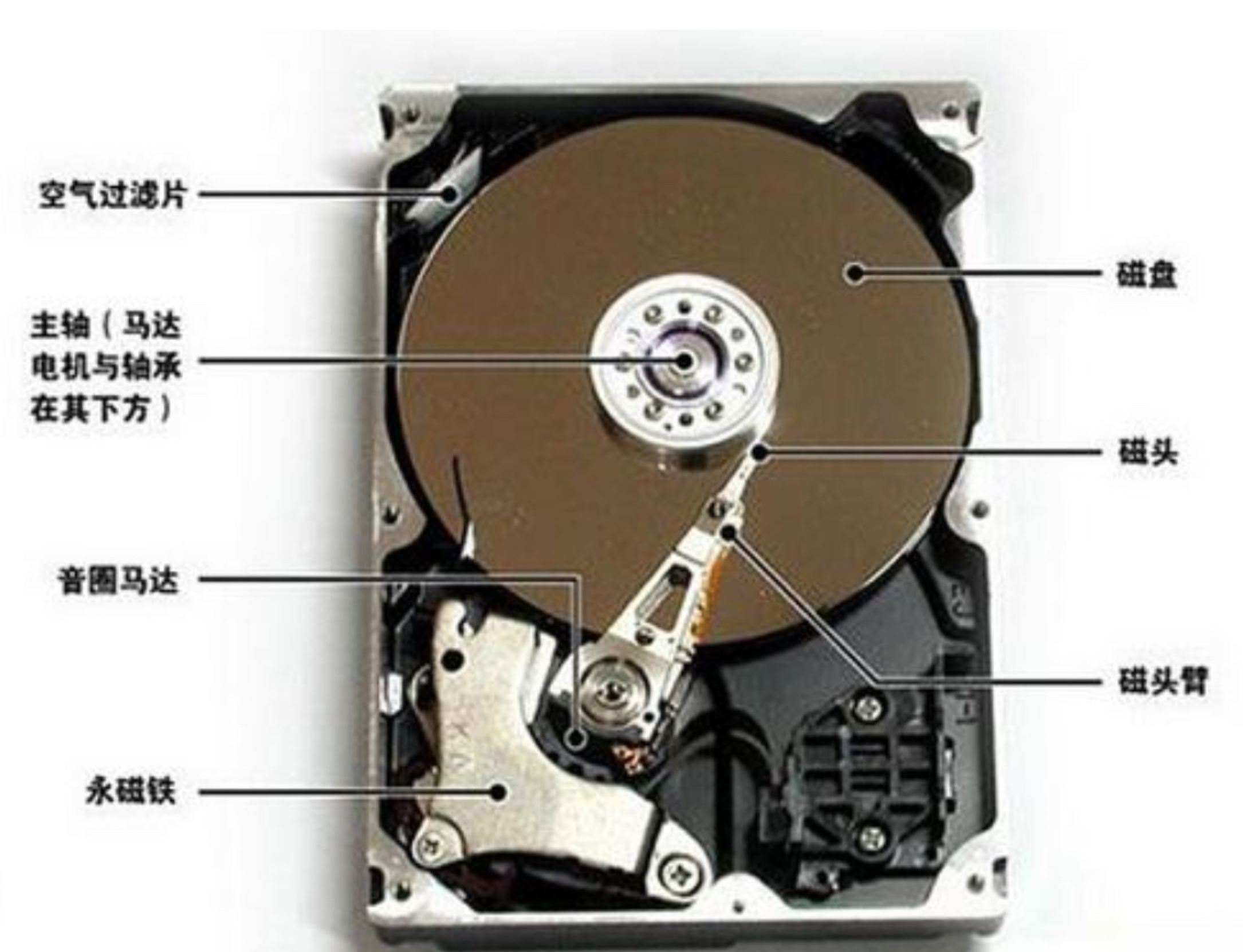 image-20220219165135502