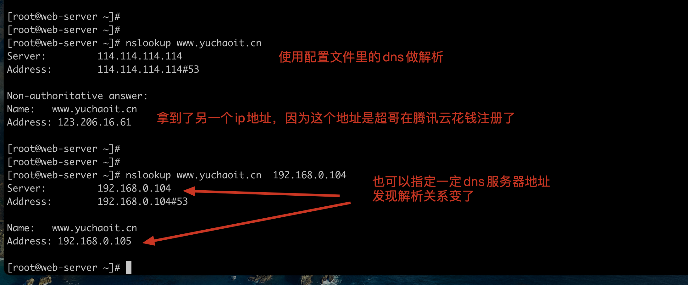 image-20220219183512258