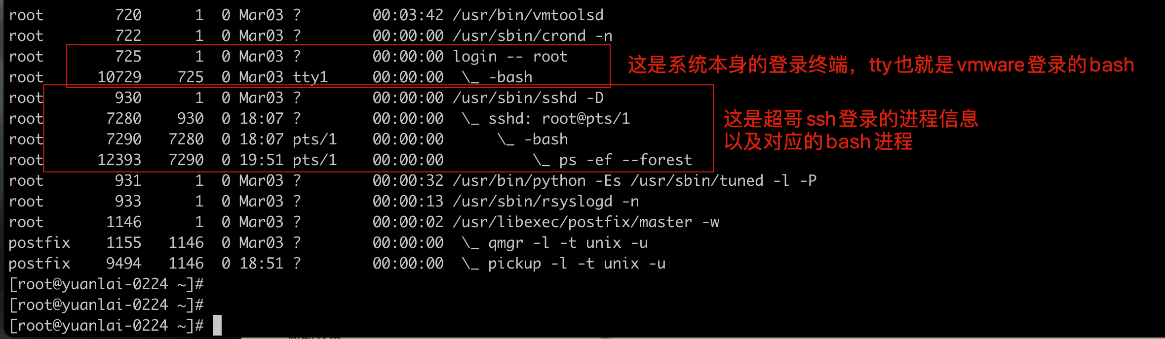 image-20220308195315796