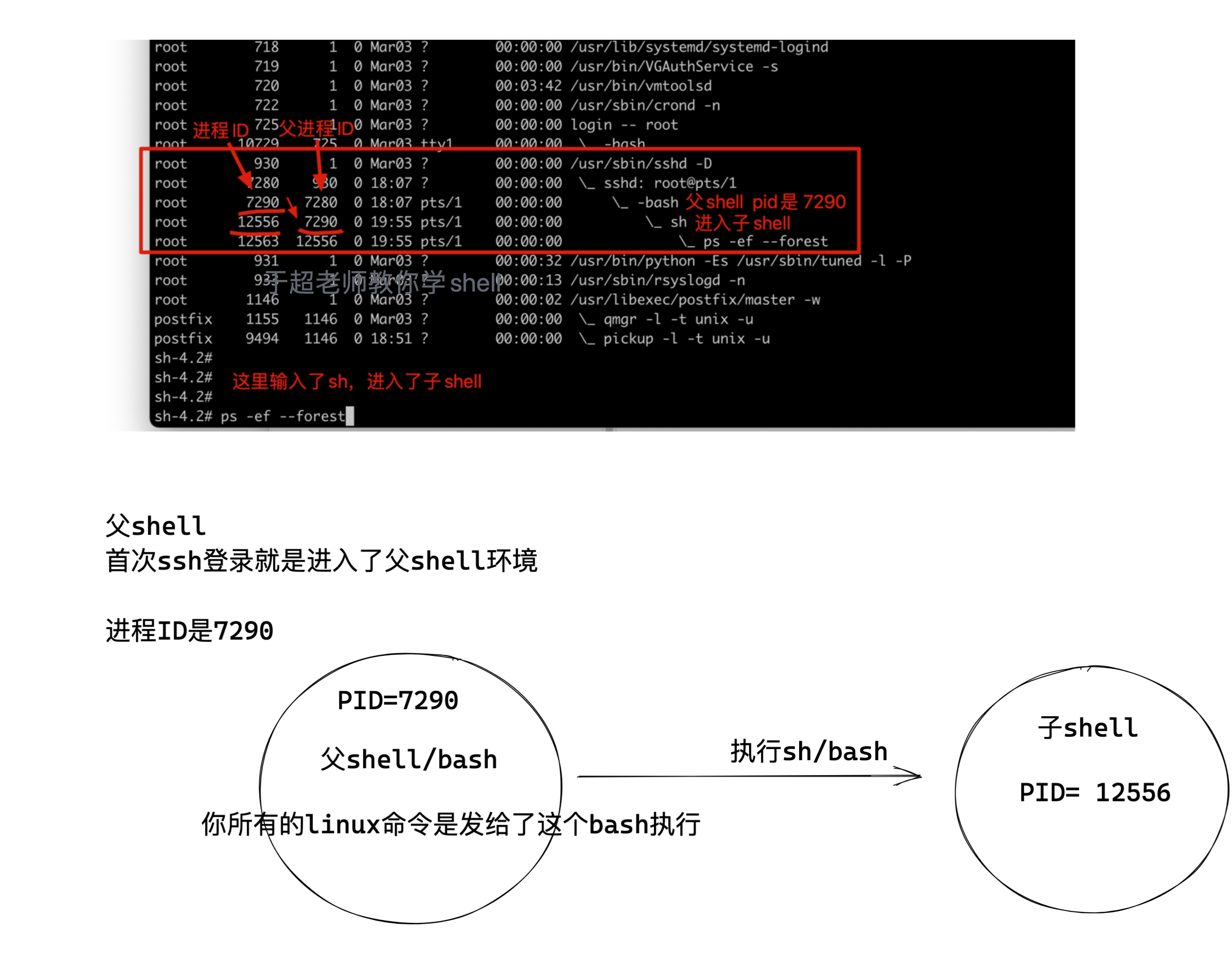 image-20220308200034952