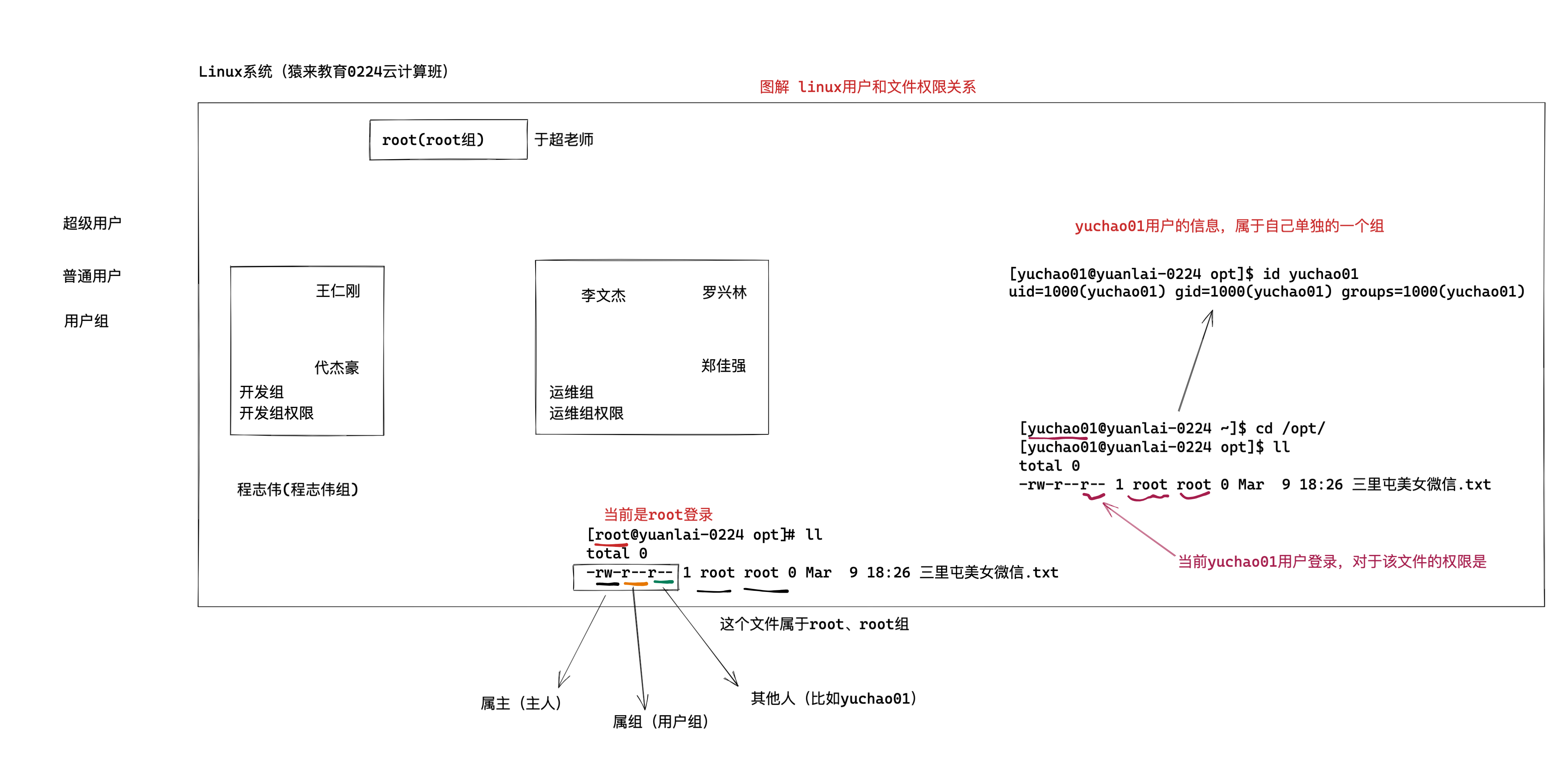 image-20220309183224490