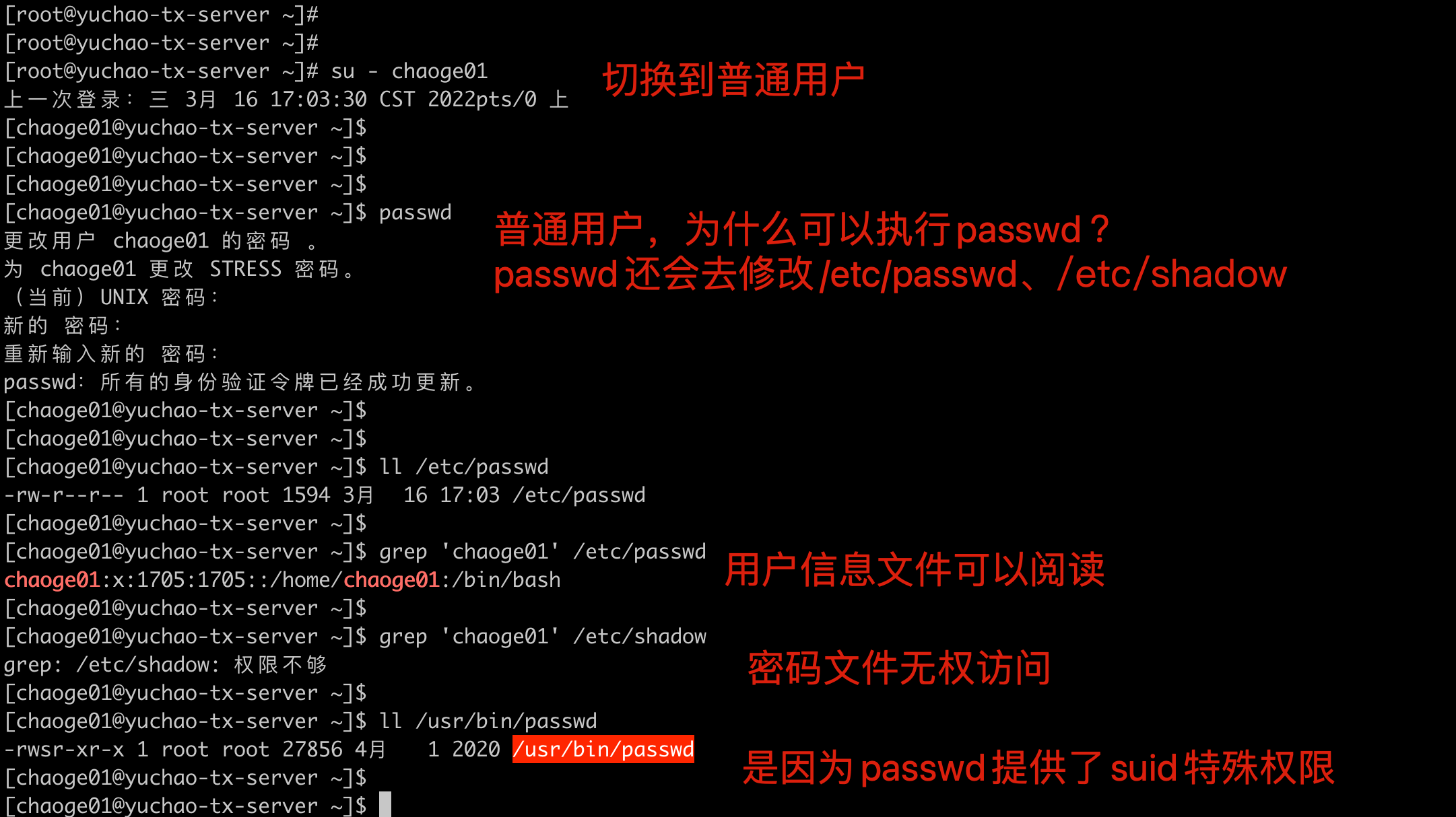 image-20220316170604864