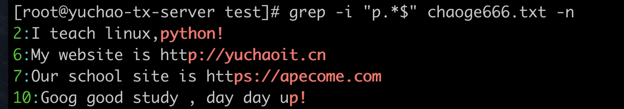 image-20220404191822956