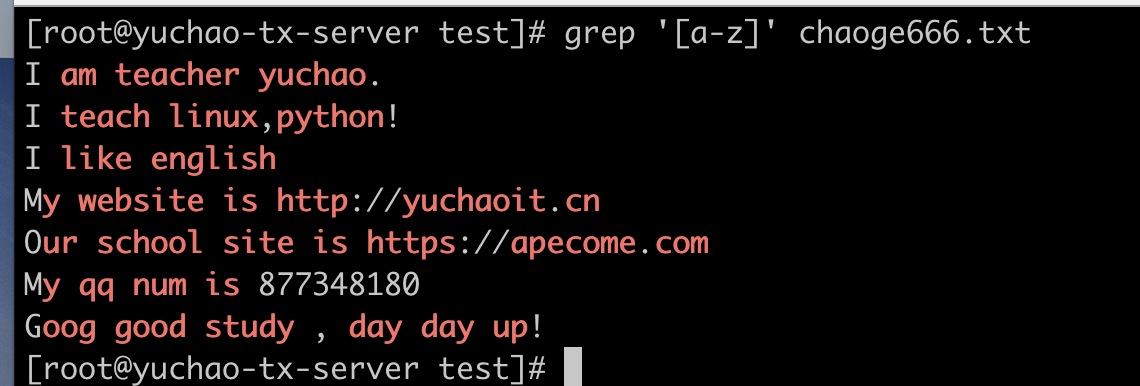 image-20220404195729328