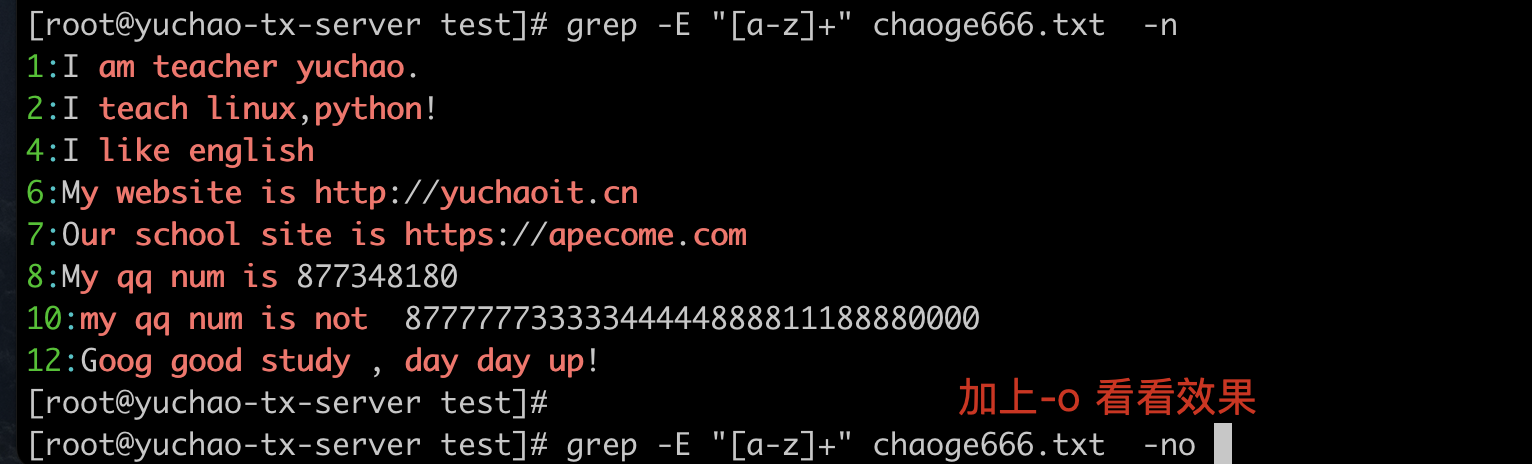 image-20220405124233138