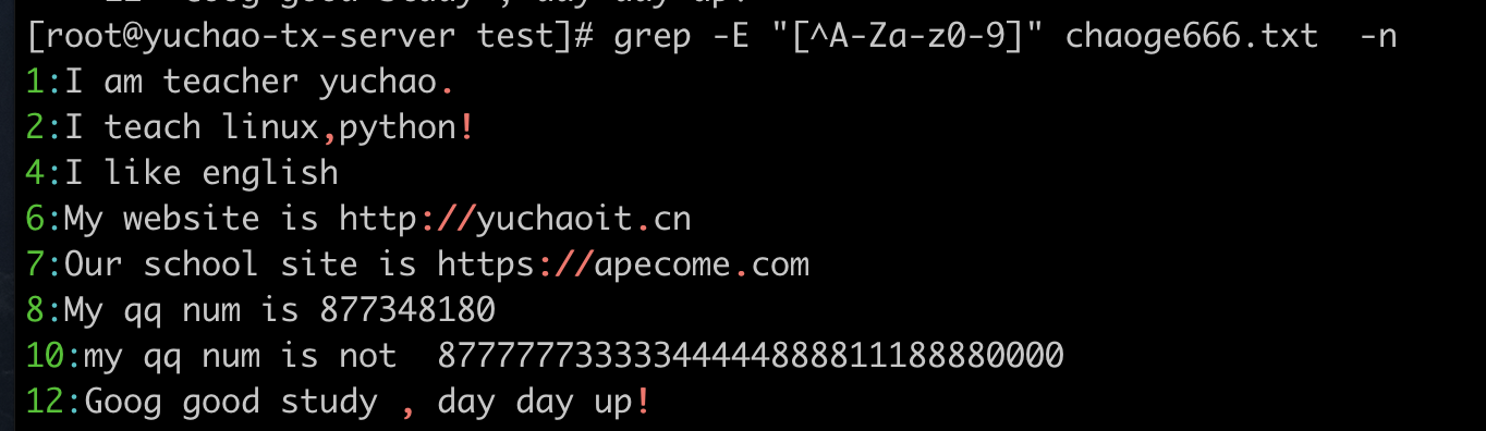 image-20220405124936650