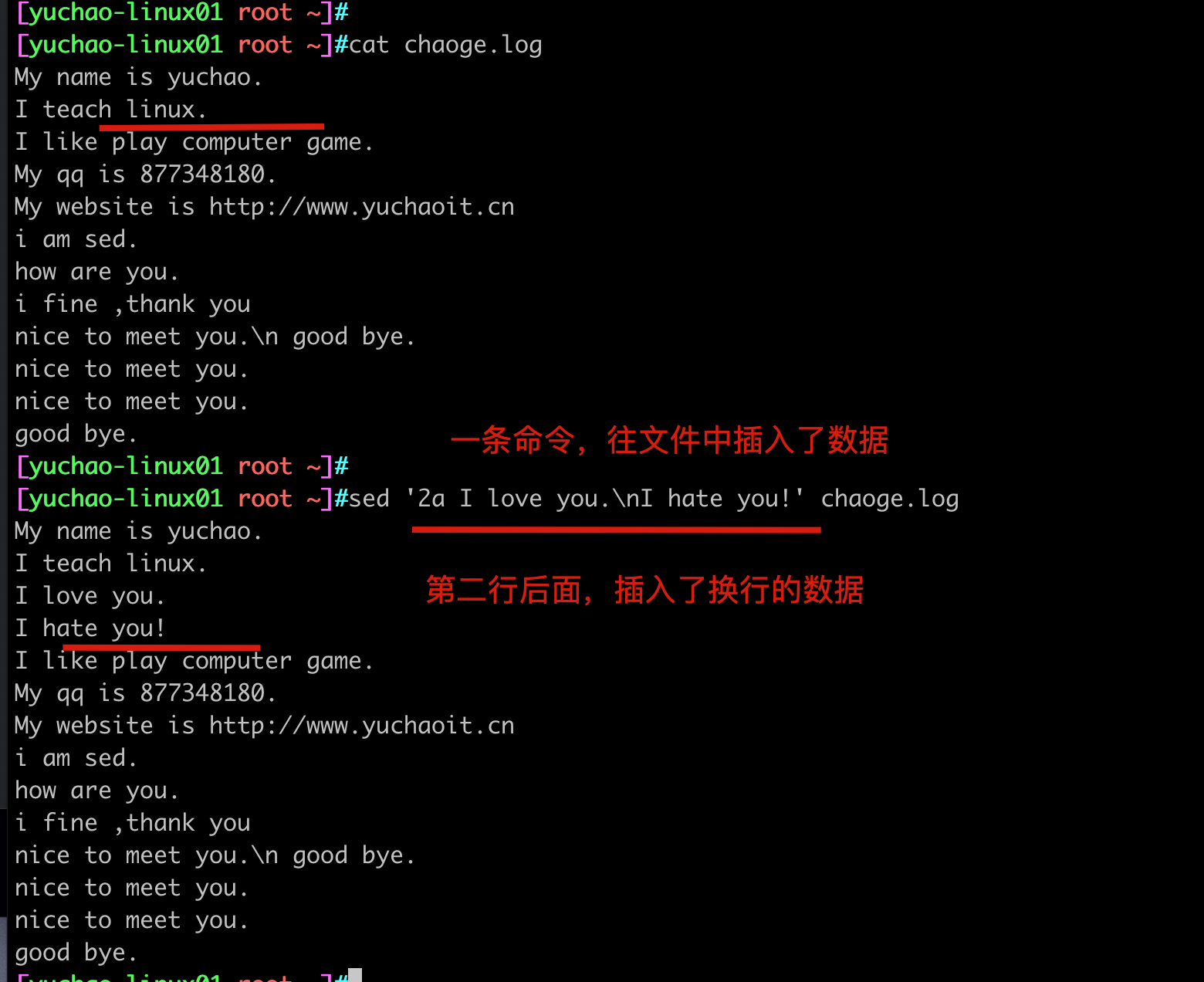 image-20220408163402196