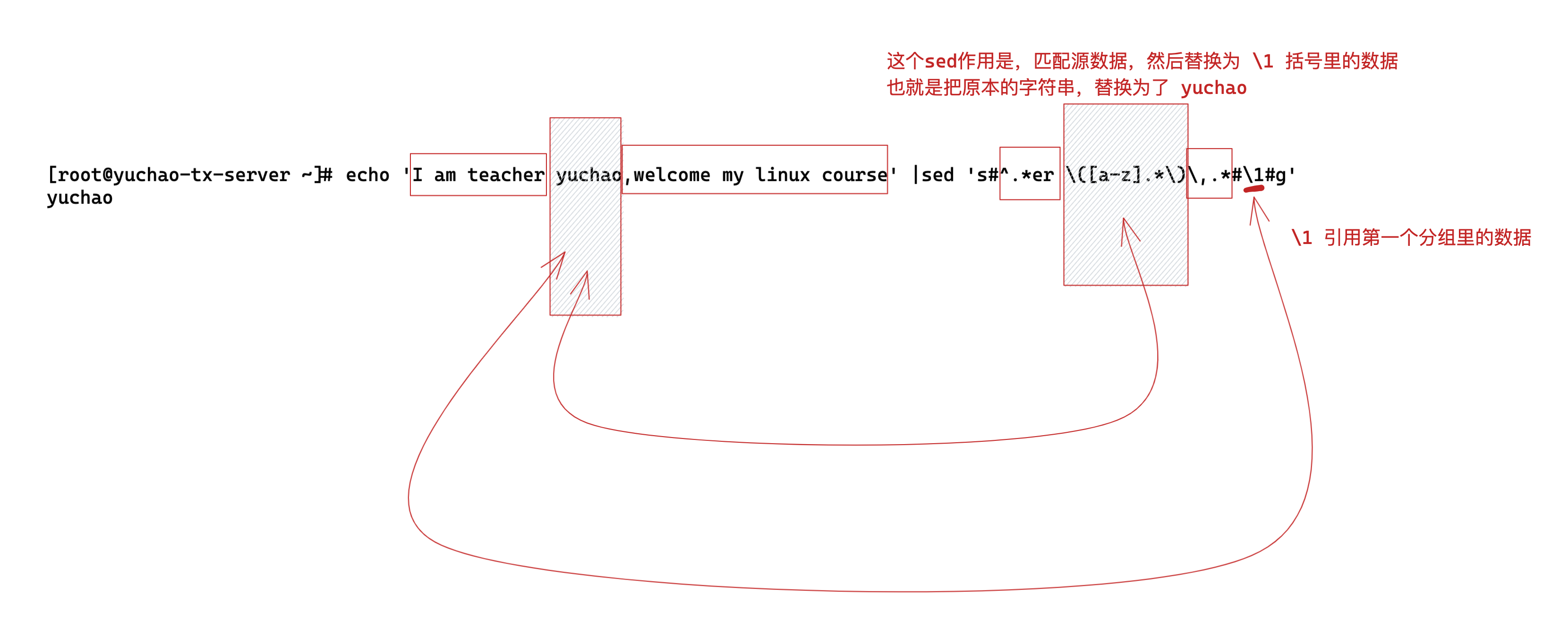 image-20220408204437154