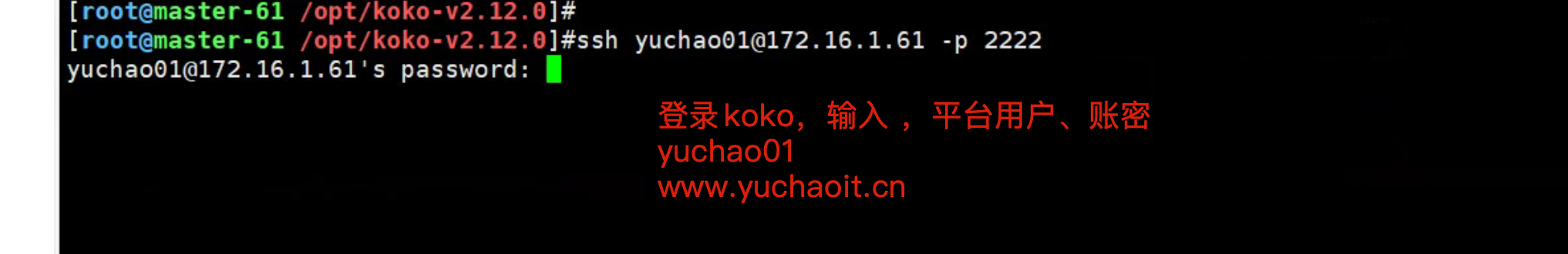 image-20220523215523362