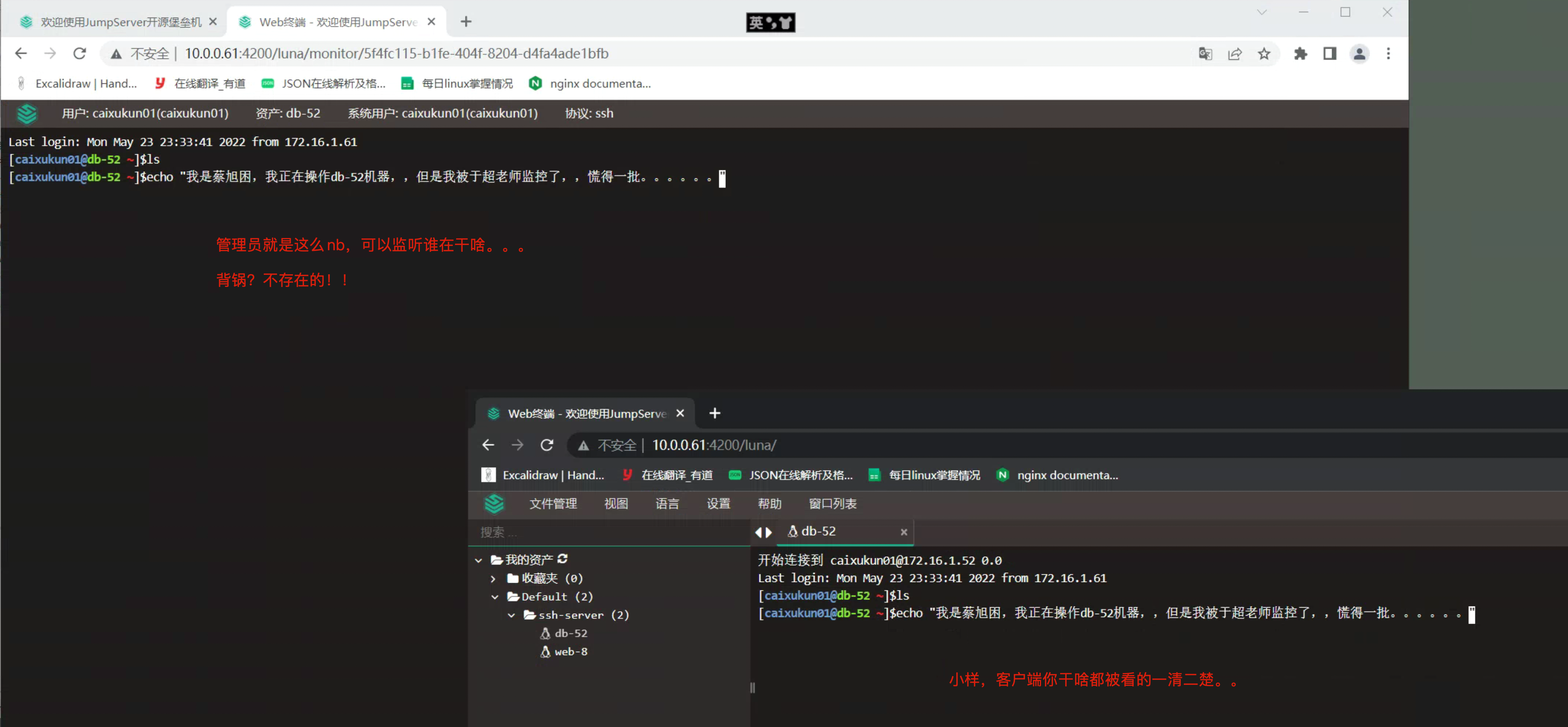 image-20220523235806594