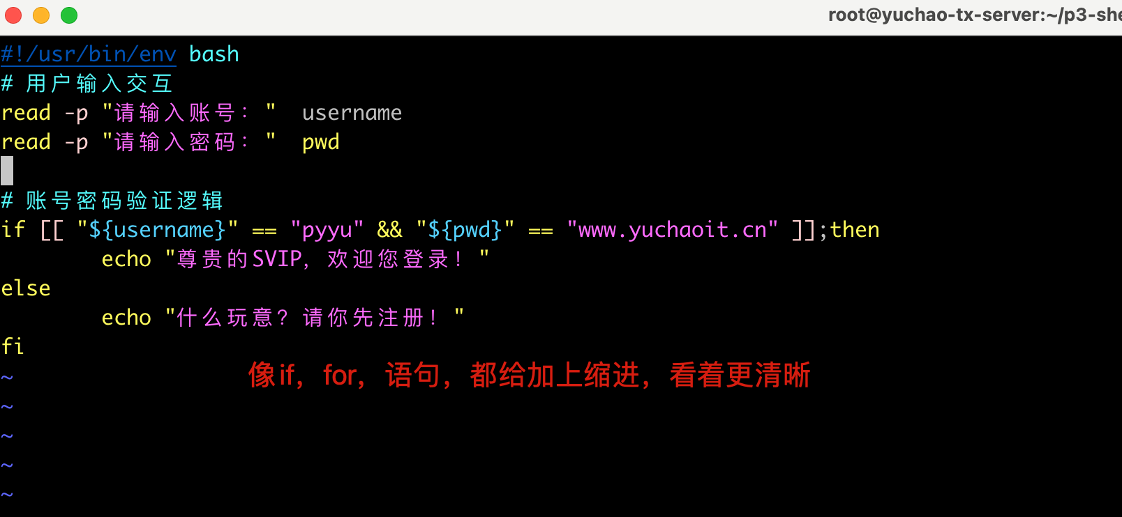 image-20220615115358449