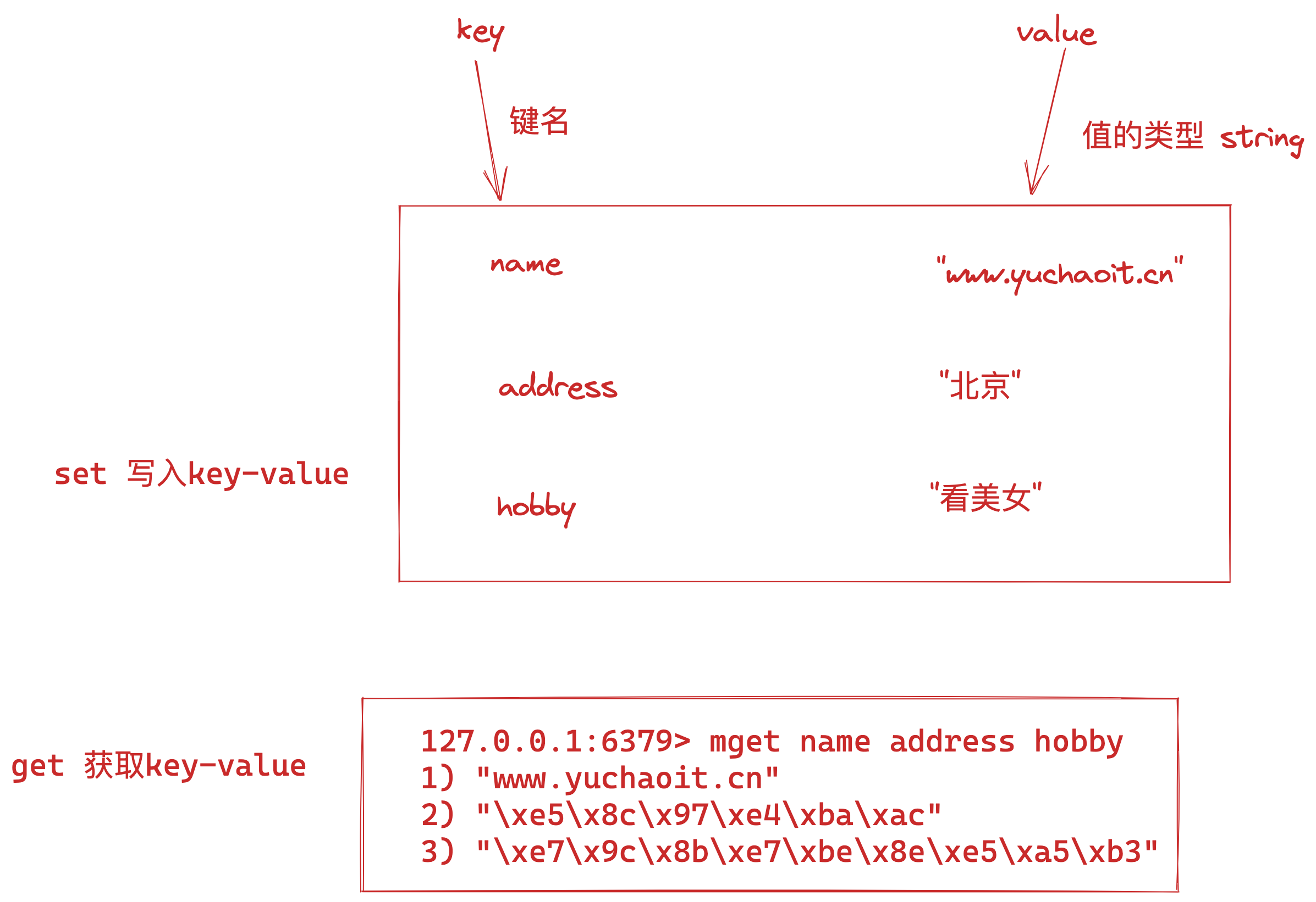 image-20220805152430312