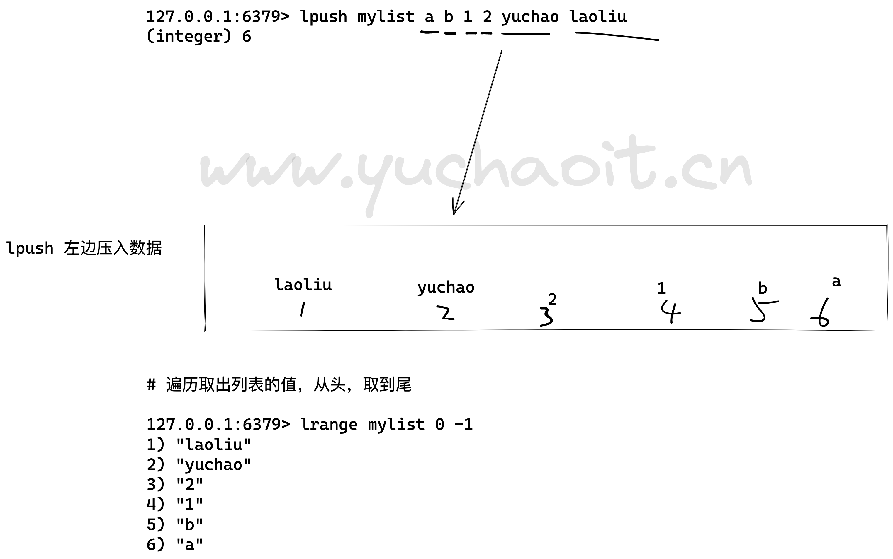 image-20220805164027645