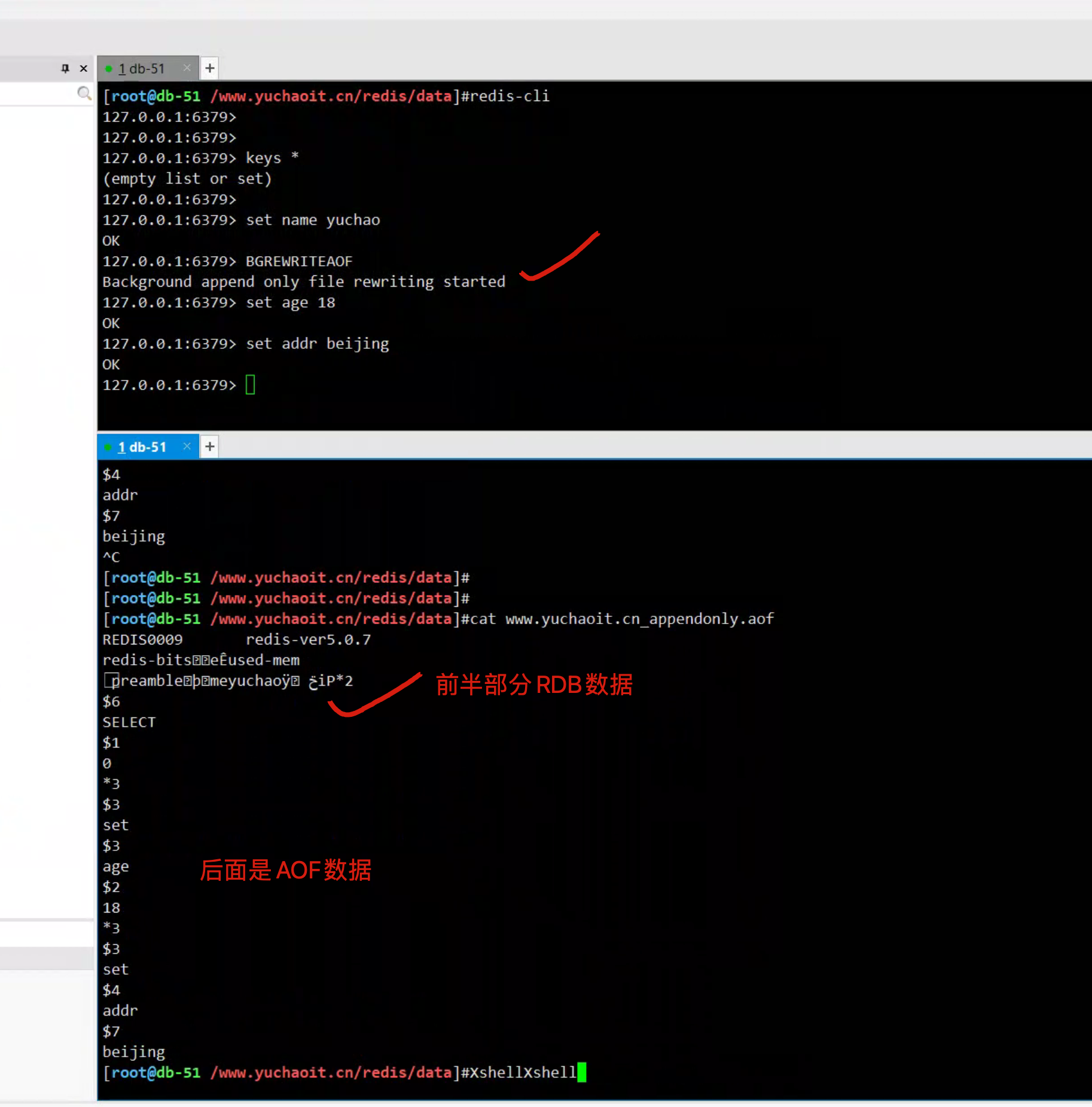 image-20220809150243632
