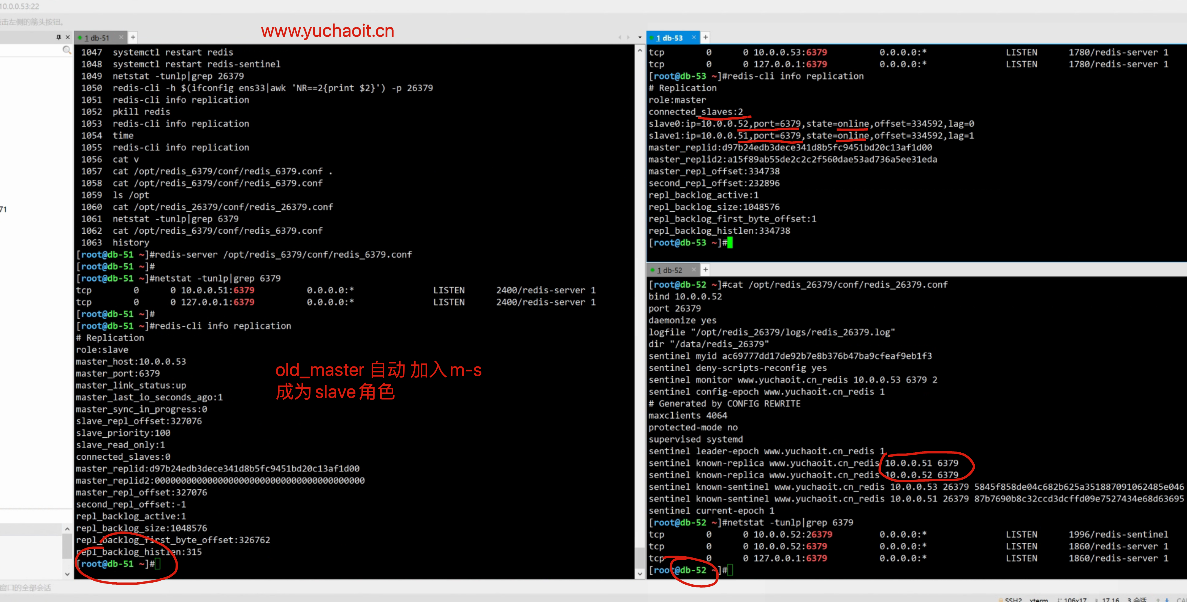 image-20220810203155426