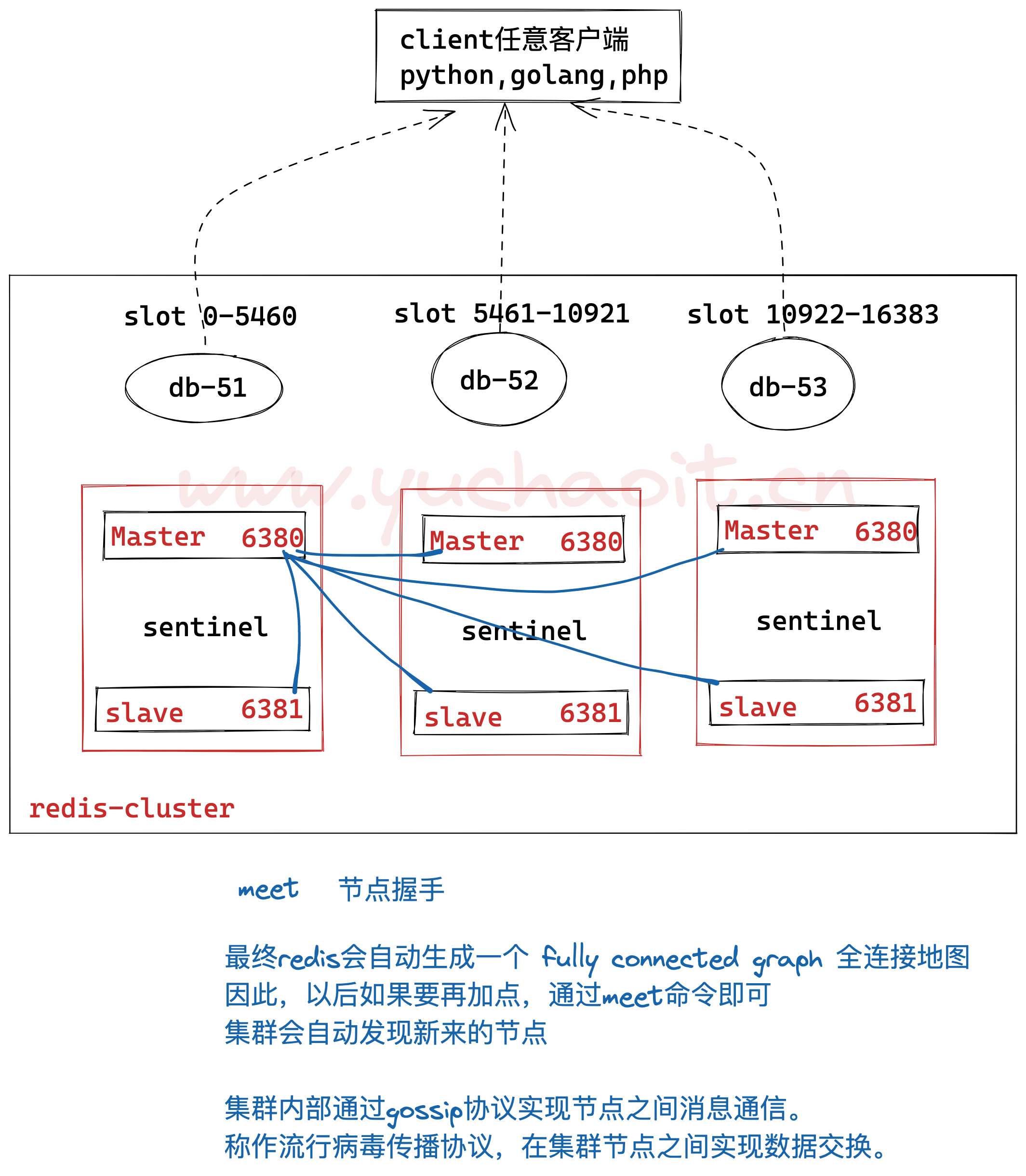 image-20220811183928923