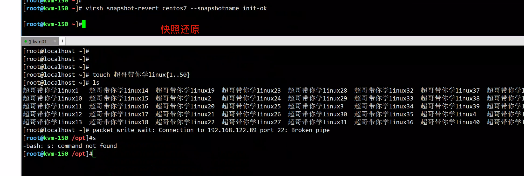 image-20220818171230028