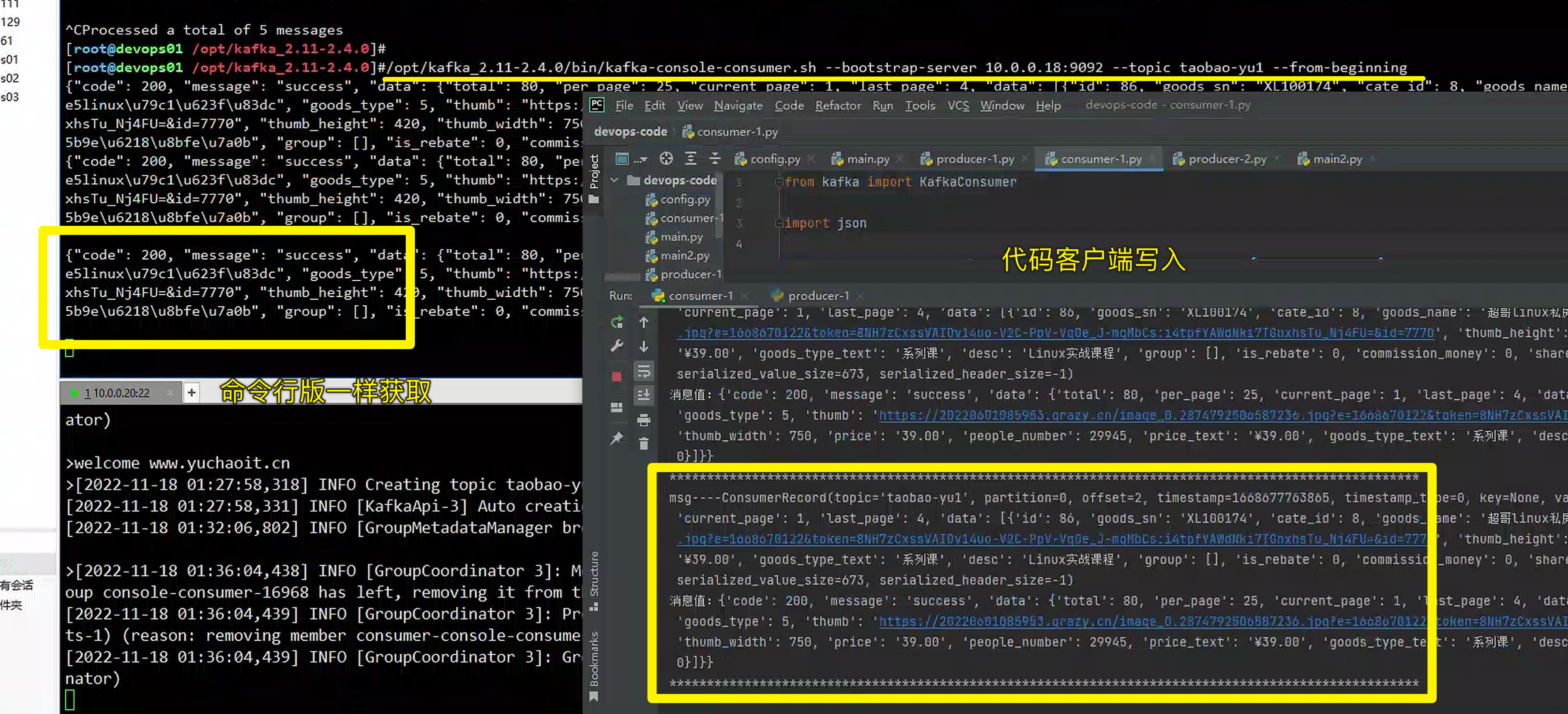 image-20221117173720521